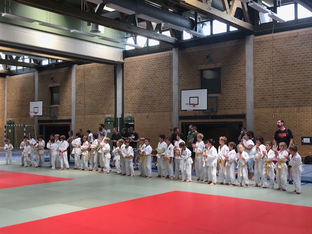 Judo Turnier Aufstellen
